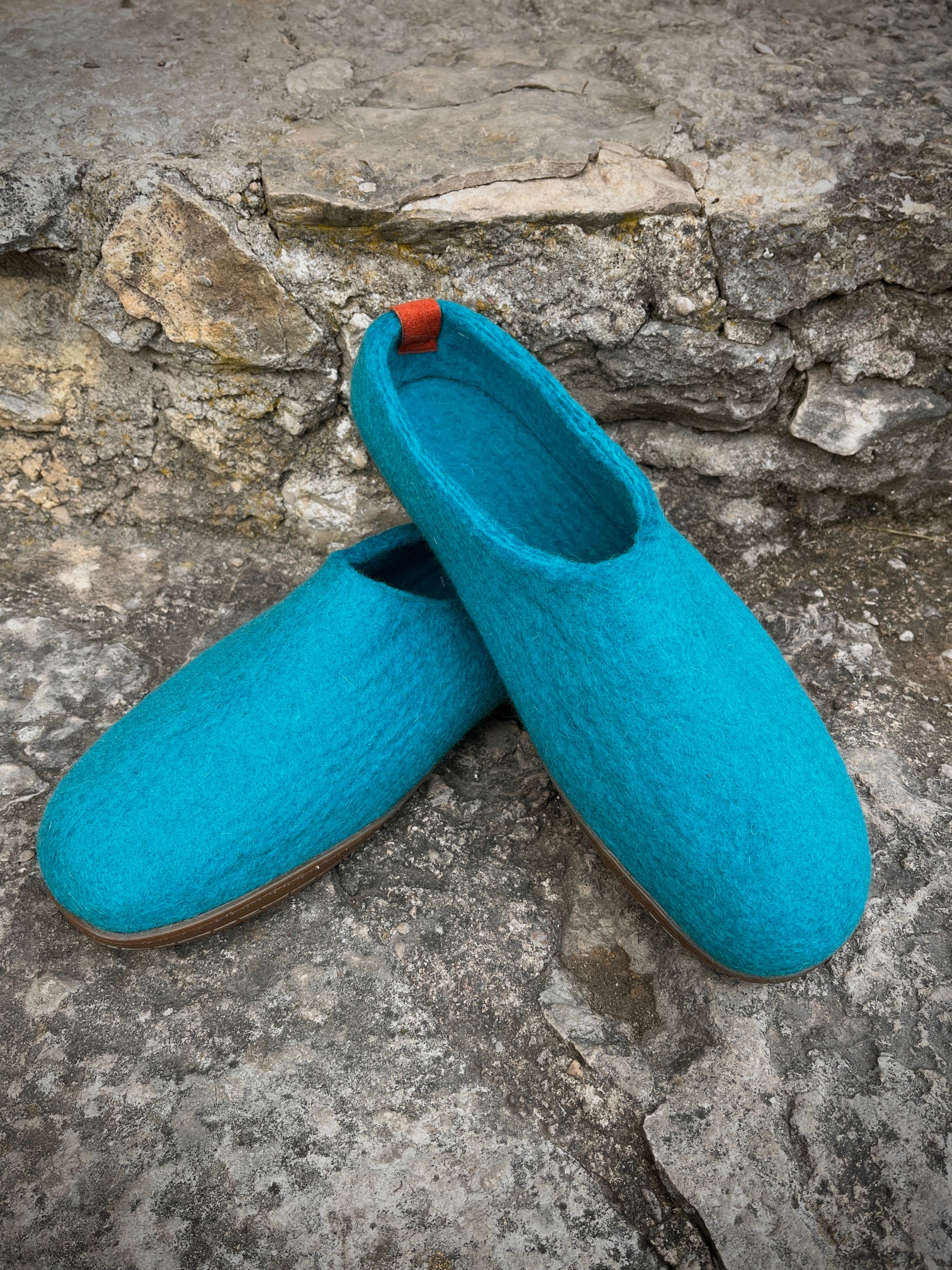 Viltsussid kummitallaga meresinised