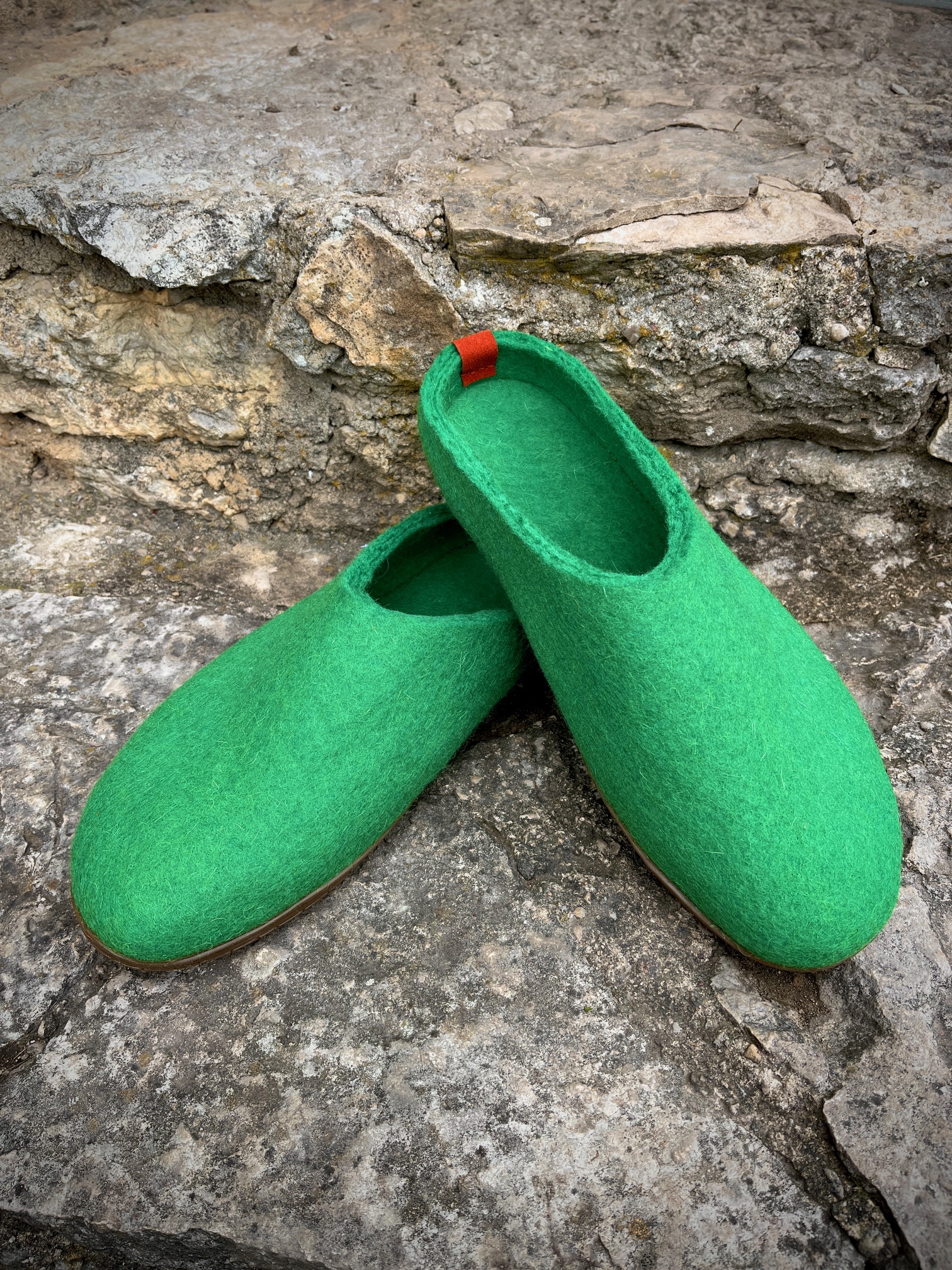 Viltsussid kummitallaga rohelised